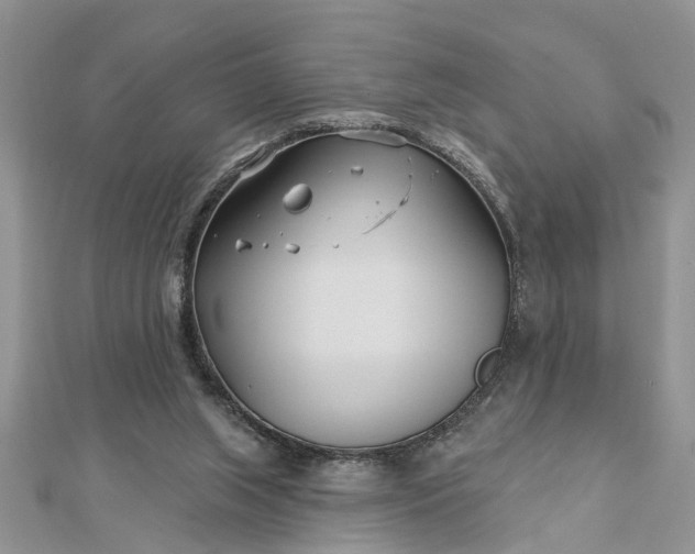 X0000112460063200908311337