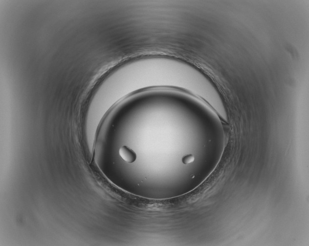 X0000112460064200908311337