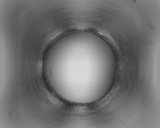 X0000112460066200908311337