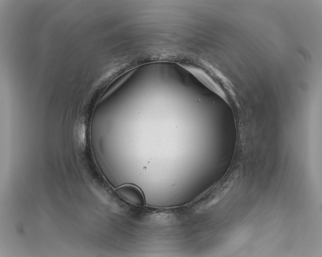 X0000112460067200908311338