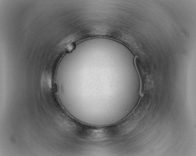 X0000112460068200908311338