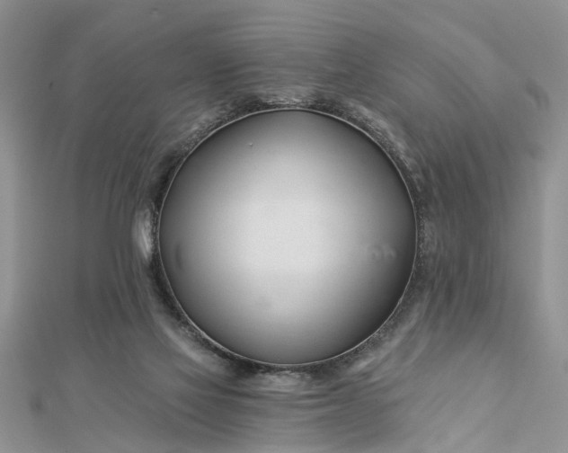 X0000112460069200908311338