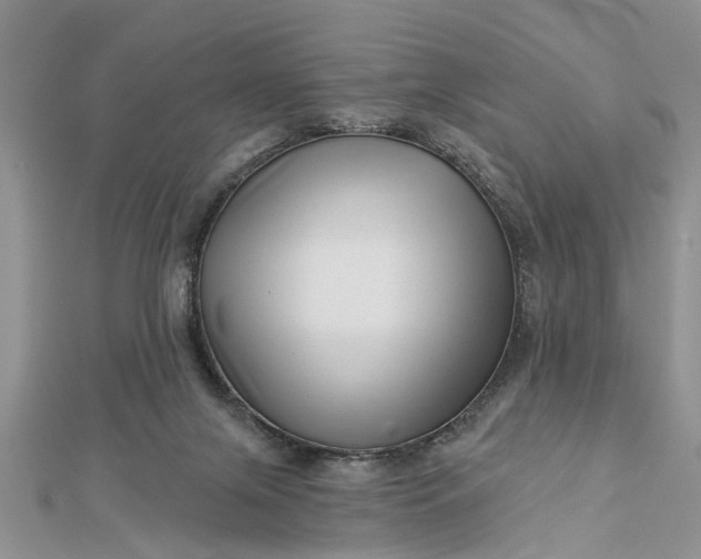 X0000112460071200908311338