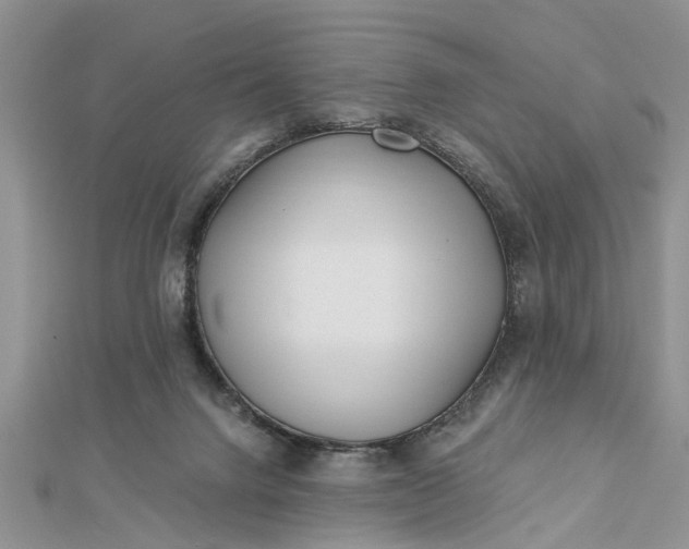 X0000112460072200908311338