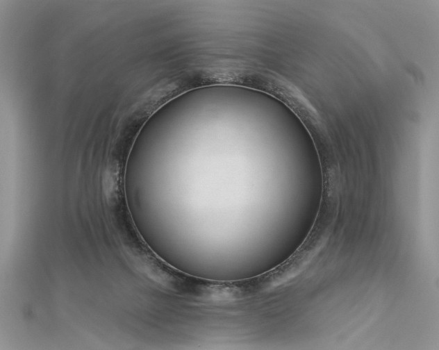 X0000112460073200908311338