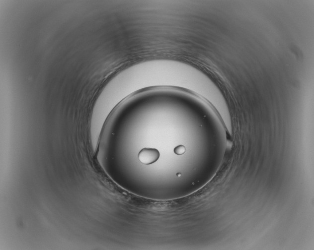 X0000112460076200908311338