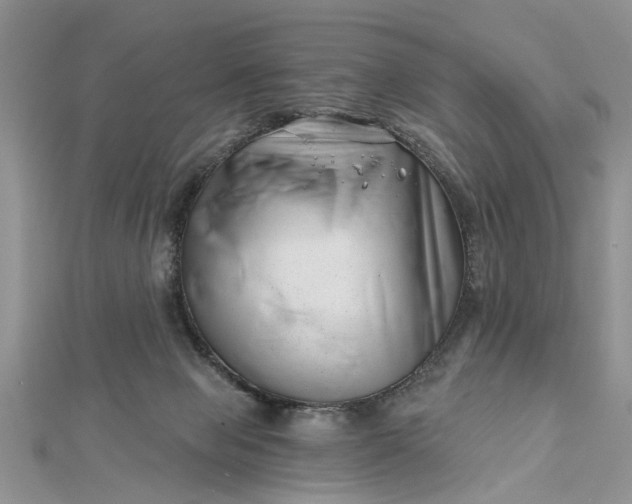 X0000112460077200908311338