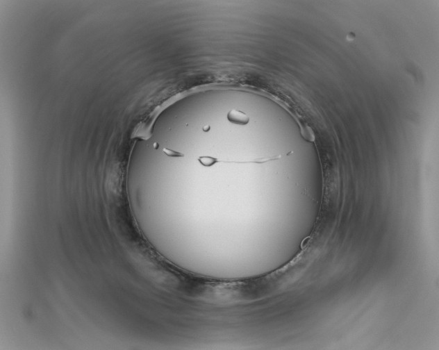 X0000112460078200908311338