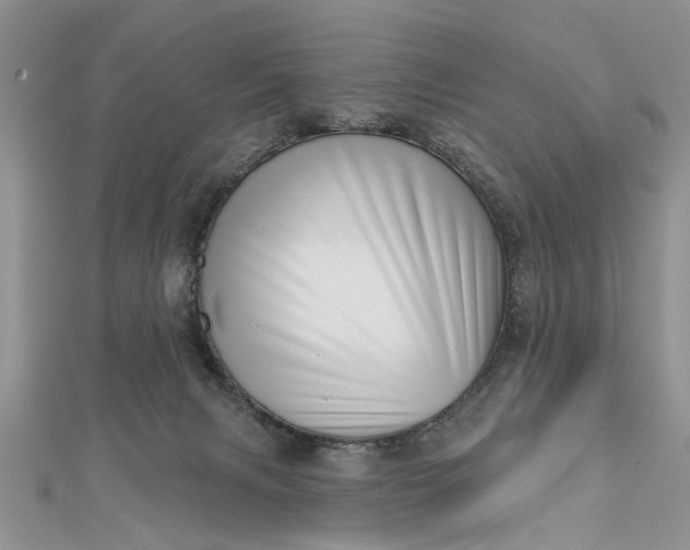 X0000112460079200908311338