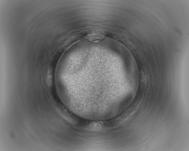 X0000112460080200908311338