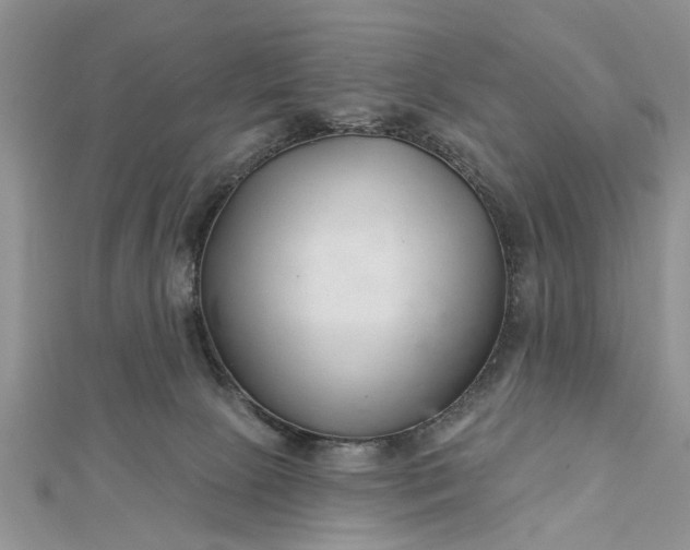 X0000112460081200908311338