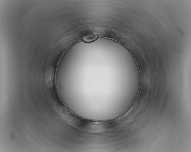 X0000112460082200908311338