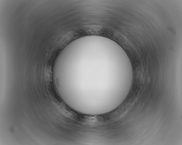 X0000112460083200908311338