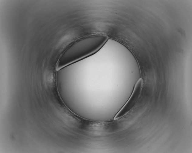 X0000112460084200908311338