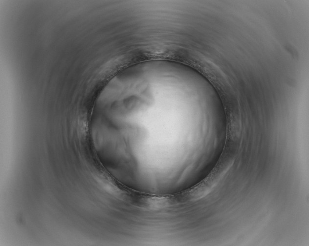 X0000112460085200908311338