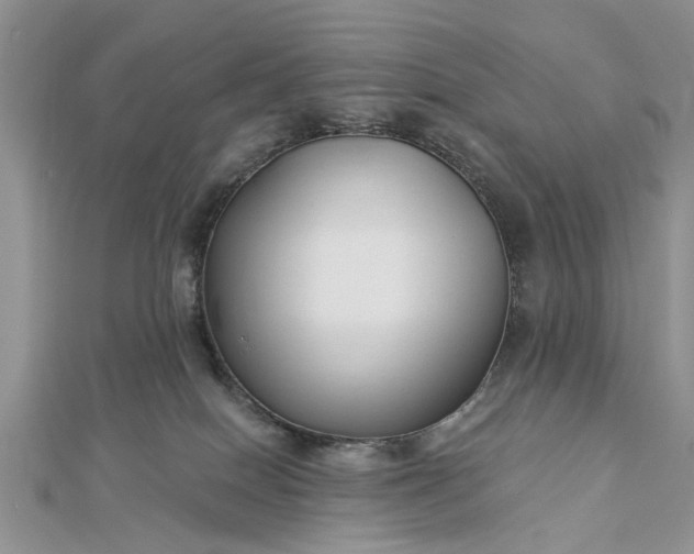 X0000112460086200908311338