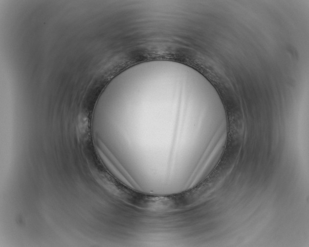 X0000112460087200908311338