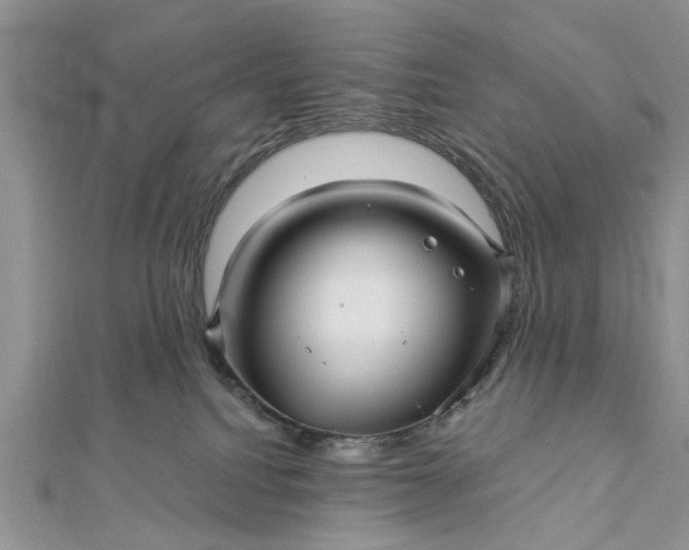 X0000112460088200908311338