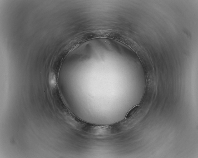 X0000112460089200908311338