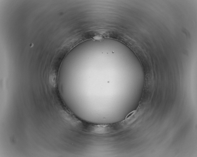 X0000112460090200908311338