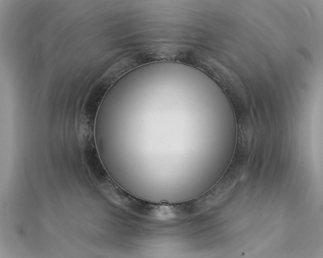 X0000112460091200908311338