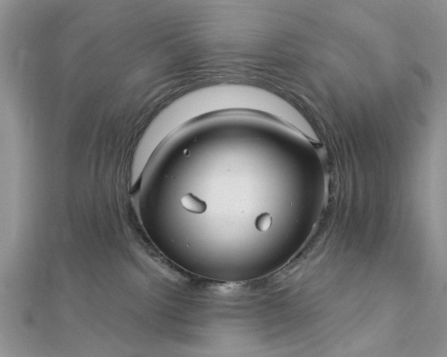 X0000112460092200908311338