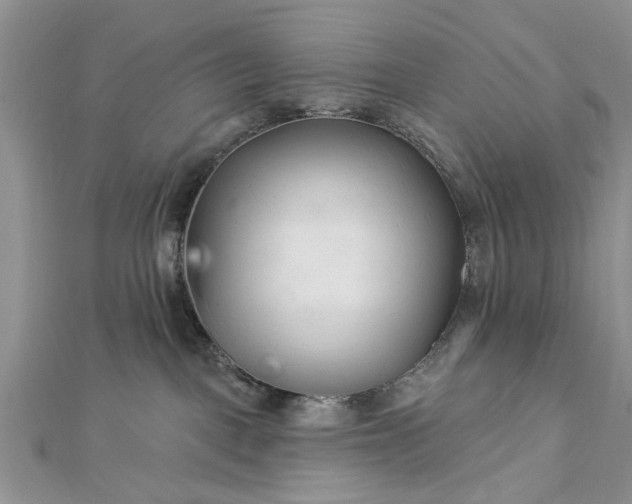 X0000112460093200908311338