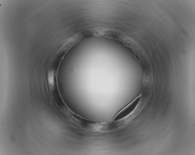 X0000112460094200908311338