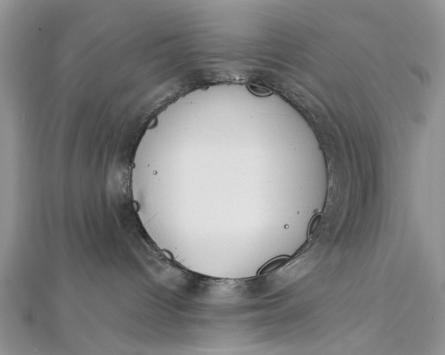 X0000112460096200908311338