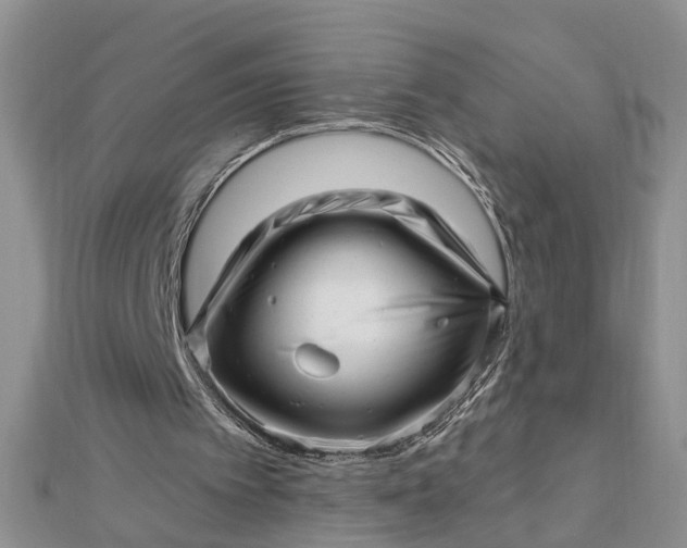 X0000112460097200908311337