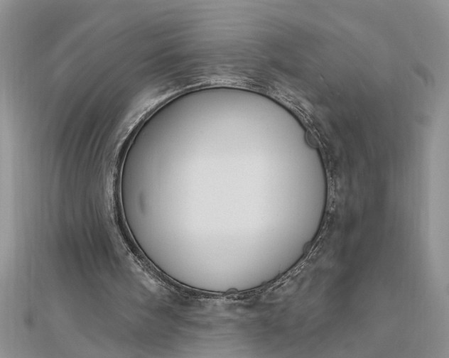 X0000112460098200908311337