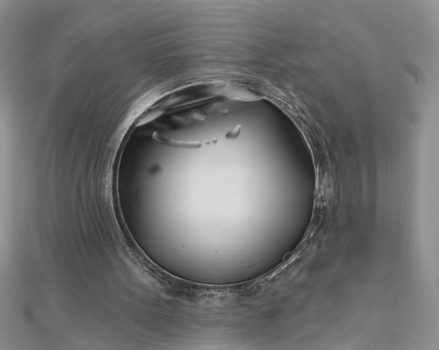 X0000112460099200908311337