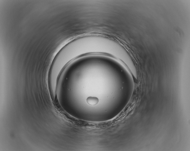 X0000112460100200908311337