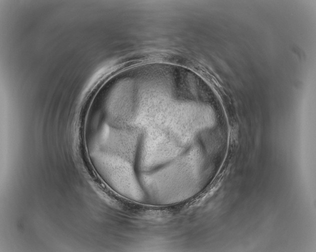 X0000112460101200908311337