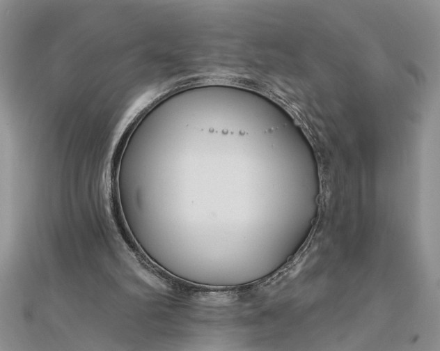 X0000112460102200908311337