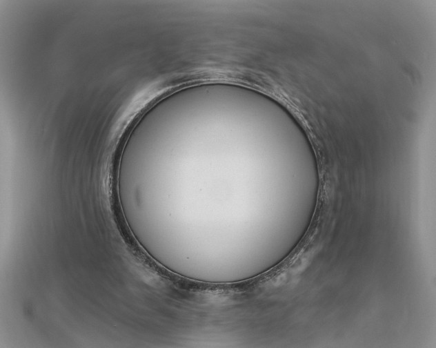 X0000112460103200908311337