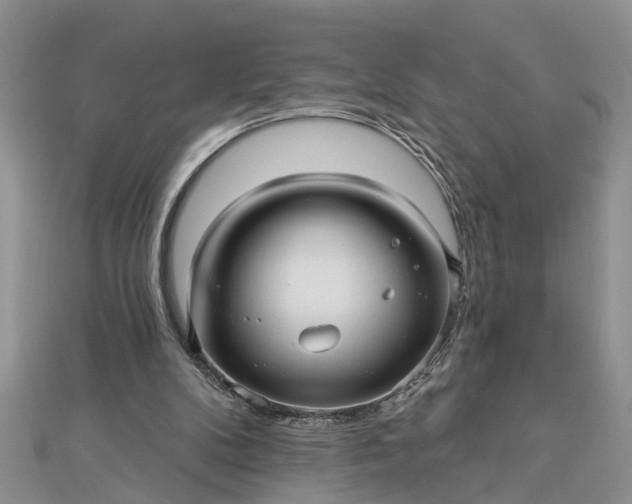 X0000112460104200908311337