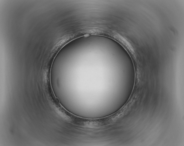 X0000112460105200908311337