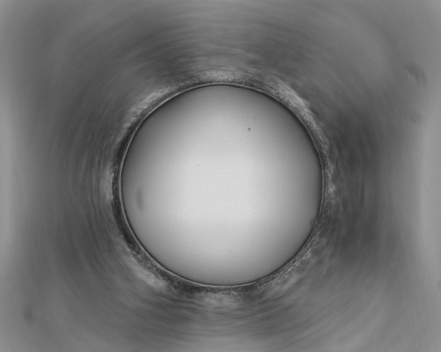 X0000112460106200908311337