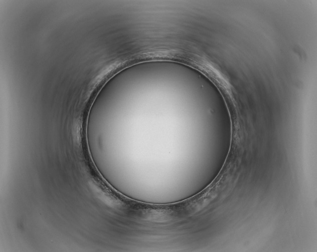 X0000112460107200908311337