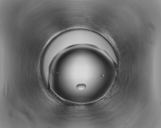 X0000112460108200908311337