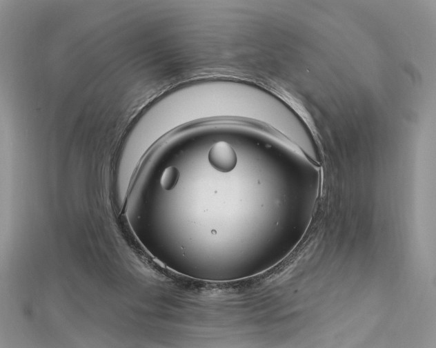 X0000112460109200908311337