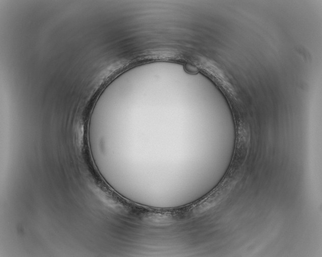 X0000112460110200908311337