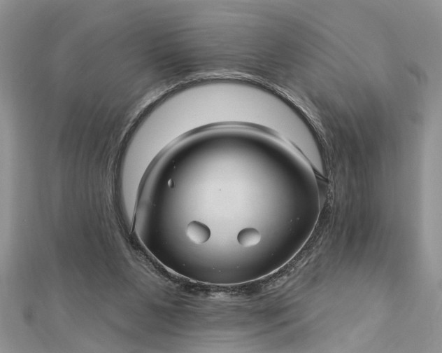 X0000112460111200908311337