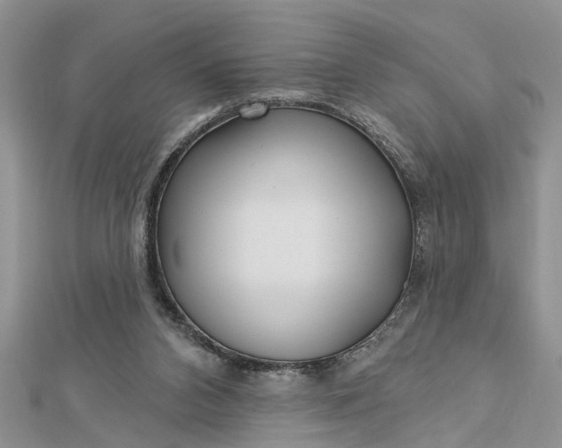 X0000112460112200908311337