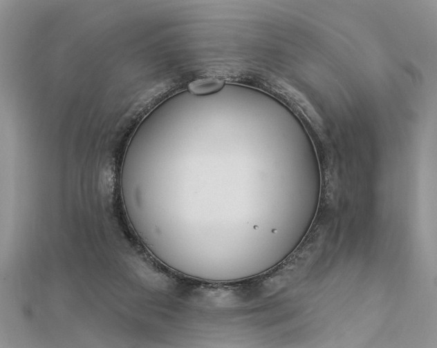 X0000112460113200908311337