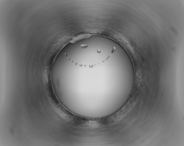 X0000112460114200908311337