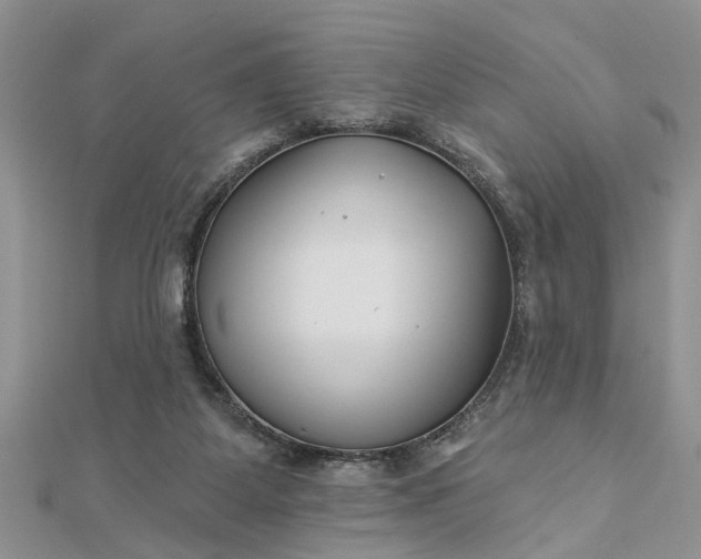 X0000112460115200908311337