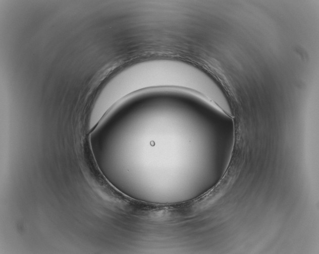 X0000112460116200908311337