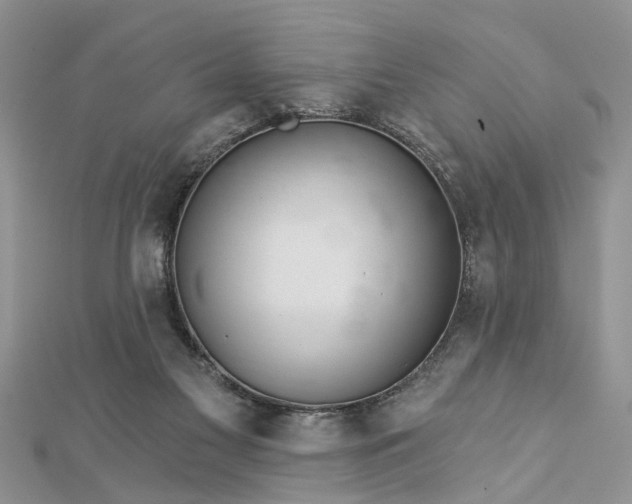 X0000112460117200908311337